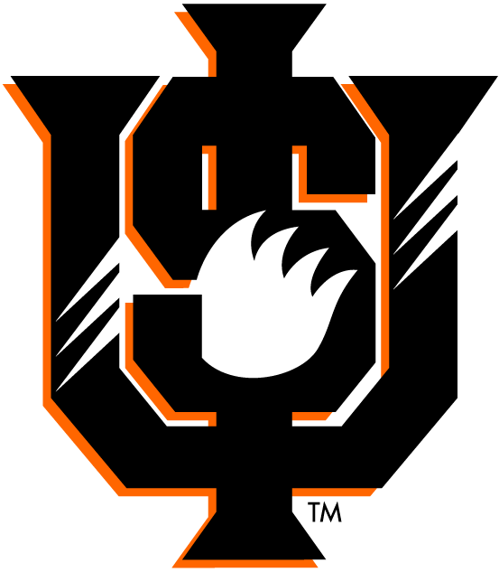 Idaho State Bengals 1997-2018 Alternate Logo diy iron on heat transfer